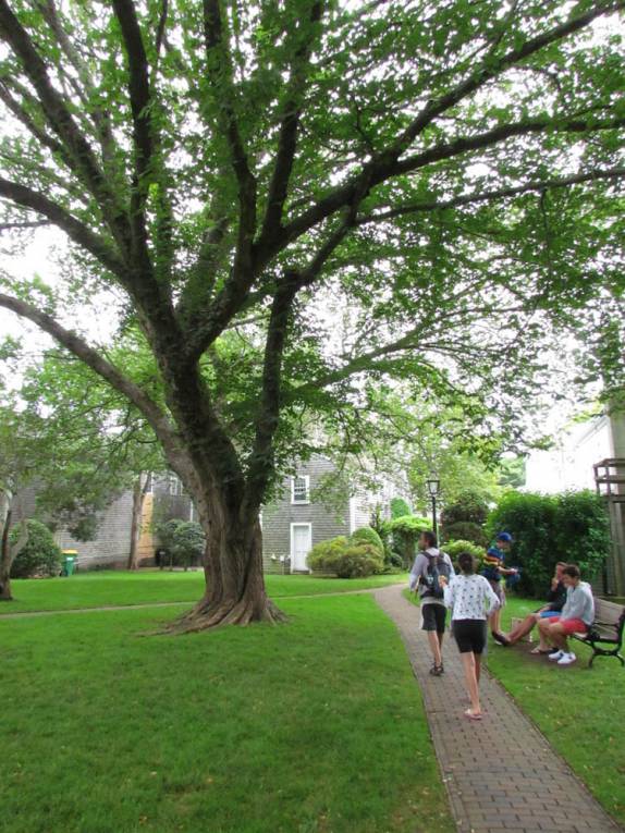 Caminhando em Edgartown, pequena cidade em Marta´s Vineyard, ao sul de Cape Cod, litoral de Massachusetts, nos Estados Unidos